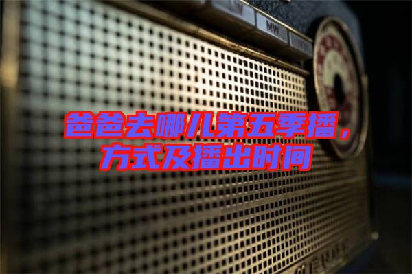 爸爸去哪兒第五季播，方式及播出時間