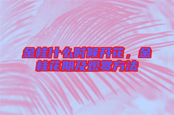 金桂什么時(shí)候開花，金桂花期及觀賞方法