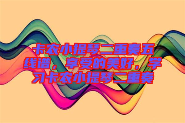 卡農小提琴二重奏五線譜，享受的美好，學習卡農小提琴二重奏