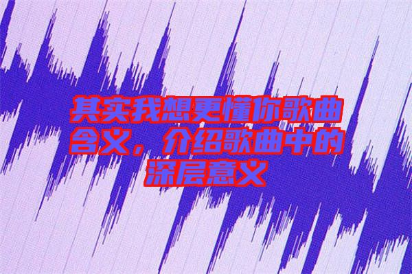 其實(shí)我想更懂你歌曲含義，介紹歌曲中的深層意義