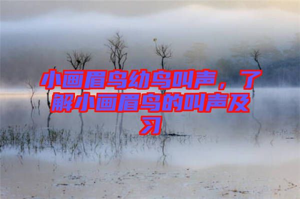 小畫眉鳥幼鳥叫聲，了解小畫眉鳥的叫聲及習(xí)