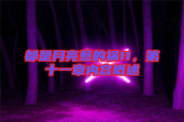 都是月亮惹的禍11，第十一章內(nèi)容概述