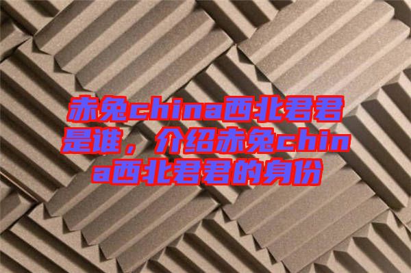 赤兔china西北君君是誰，介紹赤兔china西北君君的身份