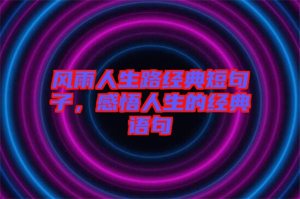 風(fēng)雨人生路經(jīng)典短句子，感悟人生的經(jīng)典語句