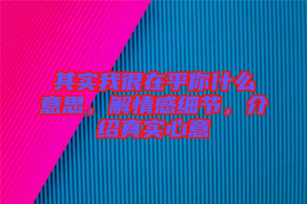 其實我很在乎你什么意思，解情感細節(jié)，介紹真實心意