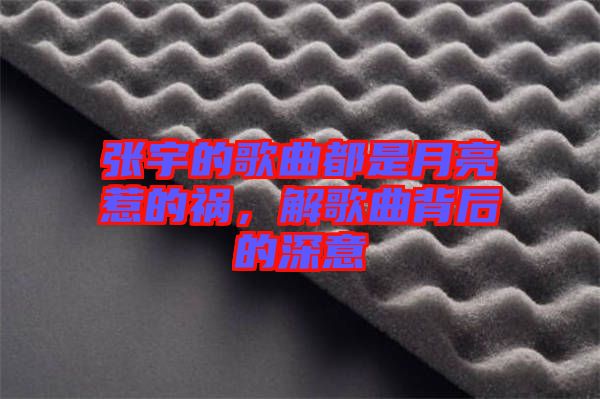張宇的歌曲都是月亮惹的禍，解歌曲背后的深意