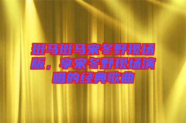 斑馬斑馬宋冬野現(xiàn)場(chǎng)版，享宋冬野現(xiàn)場(chǎng)演唱的經(jīng)典歌曲