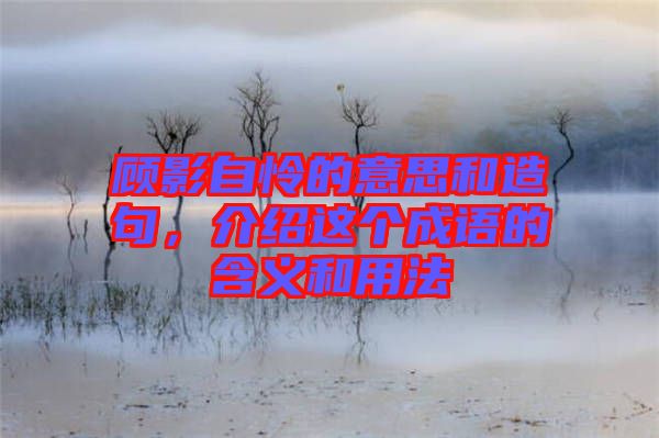 顧影自憐的意思和造句，介紹這個成語的含義和用法