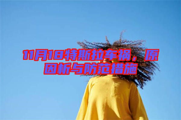 11月18特斯拉車禍，原因析與防范措施