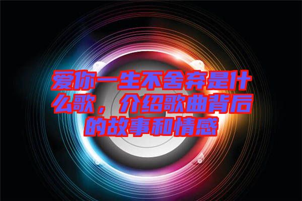 愛你一生不舍棄是什么歌，介紹歌曲背后的故事和情感