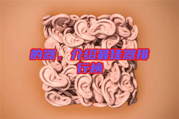 的器，介紹最佳器排行榜