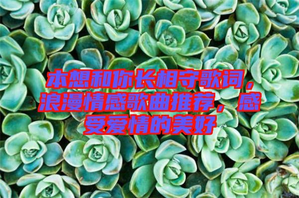 本想和你長相守歌詞，浪漫情感歌曲推薦，感受愛情的美好