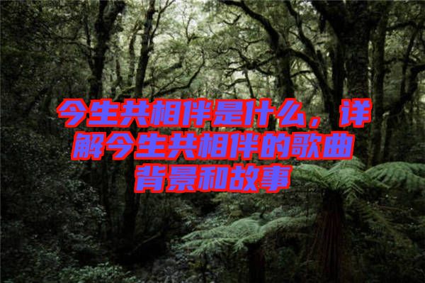 今生共相伴是什么，詳解今生共相伴的歌曲背景和故事
