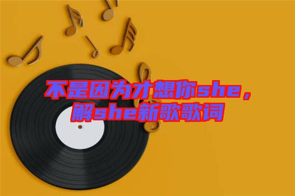 不是因為才想你she，解she新歌歌詞