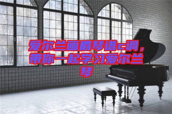 愛爾蘭畫眉琴譜c調，帶你一起學習愛爾蘭琴