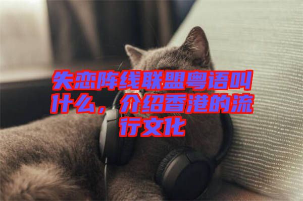 失戀陣線聯(lián)盟粵語叫什么，介紹香港的流行文化