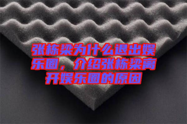 張棟梁為什么退出娛樂圈，介紹張棟梁離開娛樂圈的原因