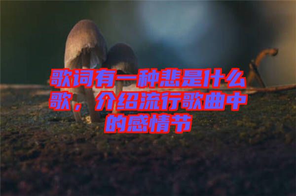 歌詞有一種悲是什么歌，介紹流行歌曲中的感情節(jié)
