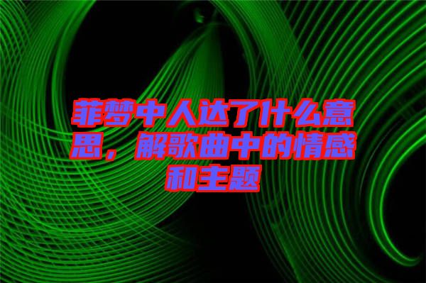 菲夢中人達(dá)了什么意思，解歌曲中的情感和主題