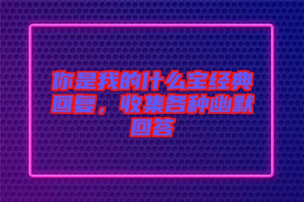 你是我的什么寶經典回復，收集各種幽默回答
