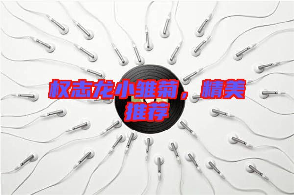 權志龍小雛菊，精美推薦