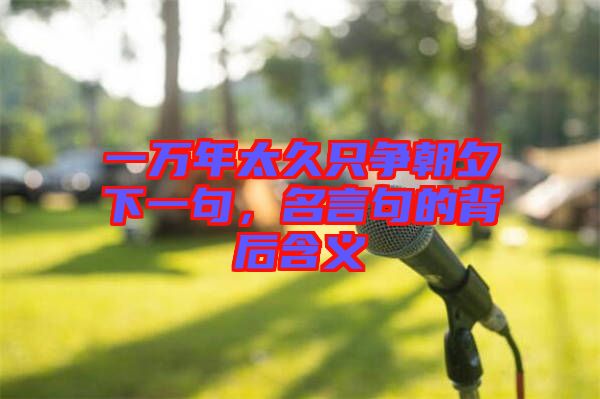 一萬(wàn)年太久只爭(zhēng)朝夕下一句，名言句的背后含義