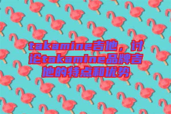 takamine吉他，討論takamine品牌吉他的特點(diǎn)和優(yōu)勢(shì)