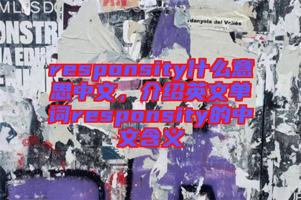 responsity什么意思中文，介紹英文單詞responsity的中文含義
