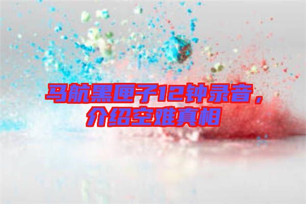 馬航黑匣子12鐘錄音，介紹空難真相