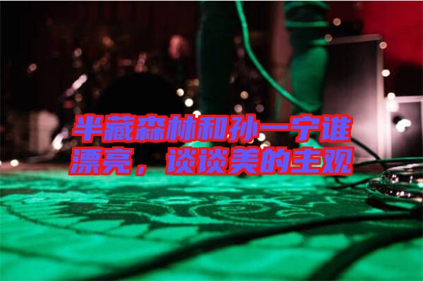 半藏森林和孫一寧誰漂亮，談?wù)劽赖闹饔^