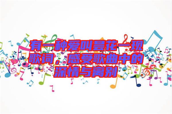 有一種愛叫曇花一現(xiàn)歌詞，感受歌曲中的深情與離別
