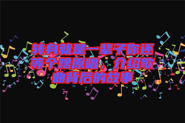 轉(zhuǎn)身就是一輩子你還等個(gè)啥原唱，介紹歌曲背后的故事