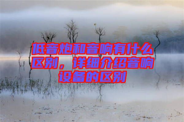 低音炮和音響有什么區(qū)別，詳細(xì)介紹音響設(shè)備的區(qū)別