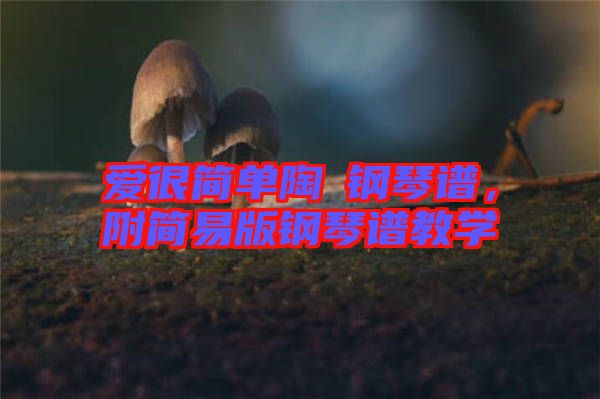 愛很簡單陶喆鋼琴譜，附簡易版鋼琴譜教學(xué)