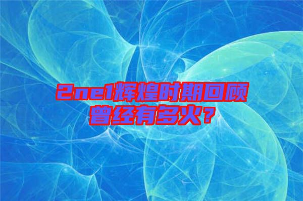 2ne1輝煌時(shí)期回顧曾經(jīng)有多火？