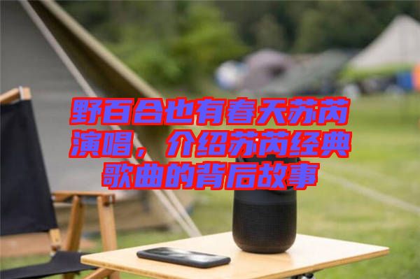 野百合也有春天蘇芮演唱，介紹蘇芮經(jīng)典歌曲的背后故事