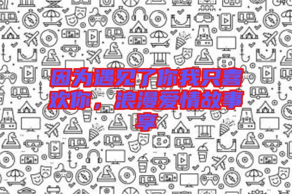 因?yàn)橛鲆?jiàn)了你我只喜歡你，浪漫愛(ài)情故事享