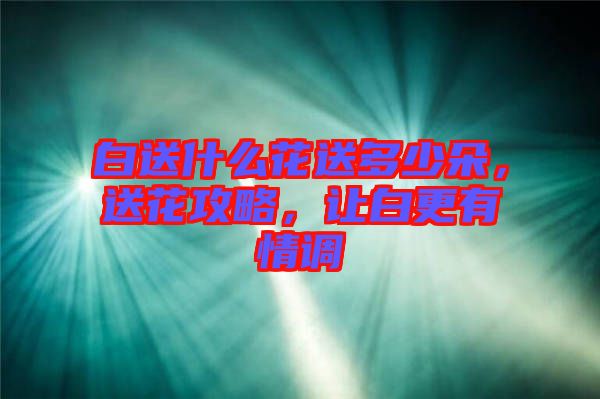 白送什么花送多少朵，送花攻略，讓白更有情調(diào)