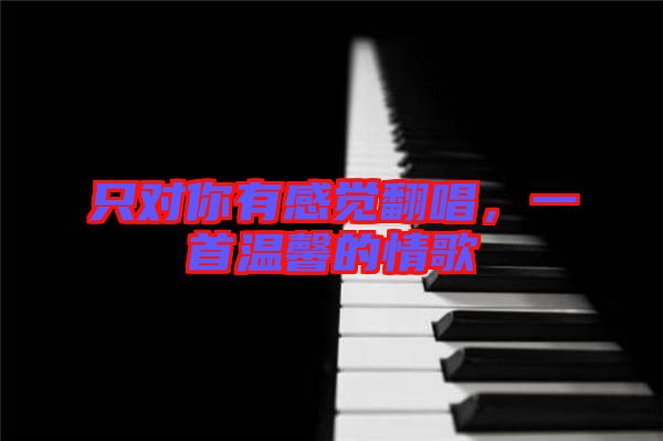 只對你有感覺翻唱，一首溫馨的情歌