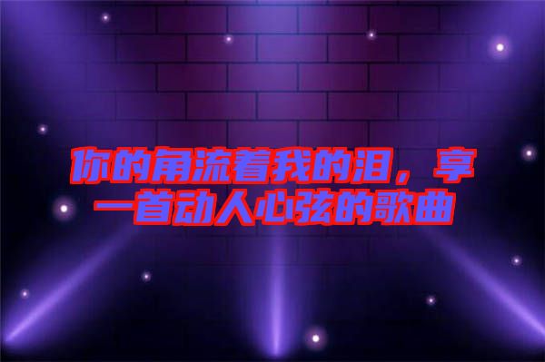 你的角流著我的淚，享一首動人心弦的歌曲