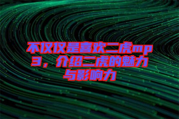 不僅僅是喜歡二虎mp3，介紹二虎的魅力與影響力