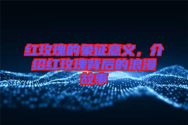 紅玫瑰的象征意義，介紹紅玫瑰背后的浪漫故事