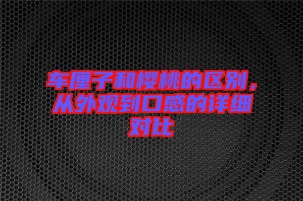 車?yán)遄雍蜋烟业膮^(qū)別，從外觀到口感的詳細(xì)對(duì)比