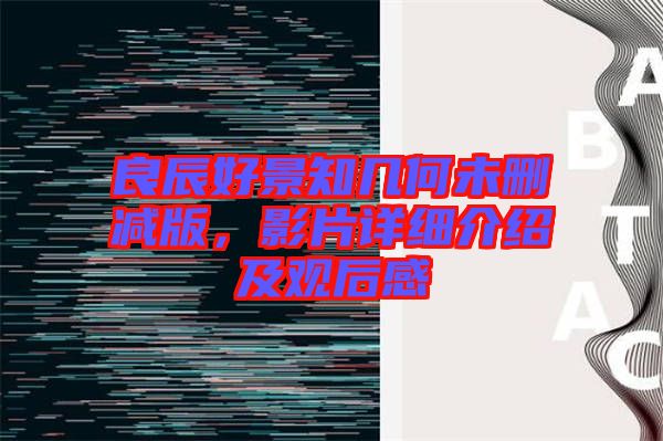 良辰好景知幾何未刪減版，影片詳細(xì)介紹及觀后感