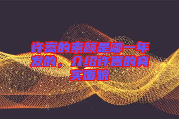 許嵩的素顏是哪一年發(fā)的，介紹許嵩的真實(shí)面貌