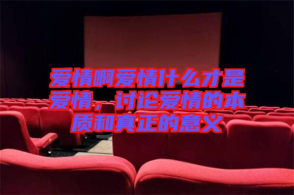 愛情啊愛情什么才是愛情，討論愛情的本質(zhì)和真正的意義