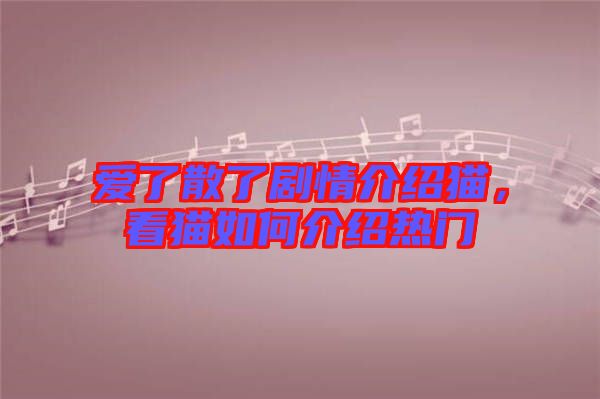 愛了散了劇情介紹貓，看貓如何介紹熱門