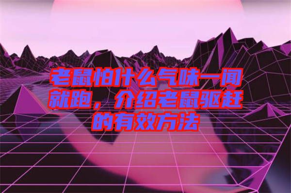 老鼠怕什么氣味一聞就跑，介紹老鼠驅(qū)趕的有效方法