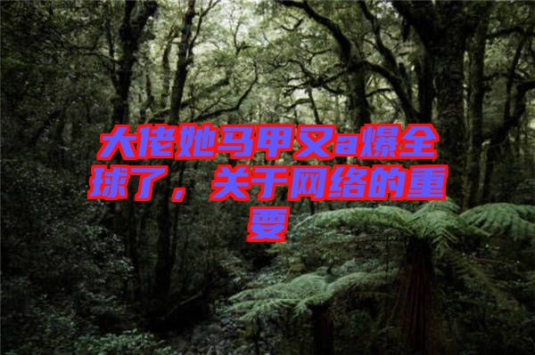 大佬她馬甲又a爆全球了，關于網絡的重要