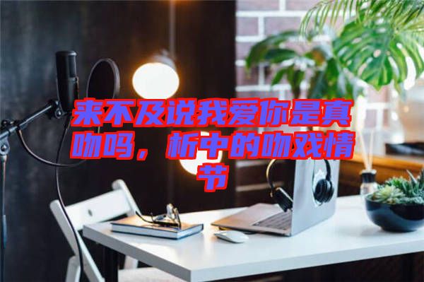 來不及說我愛你是真吻嗎，析中的吻戲情節(jié)